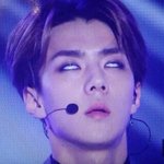 [EXO] 돌겠네 유출찾아듣고 아주 <b>정성</b>이다 개년들아