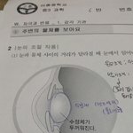 중2과학 눈 에서