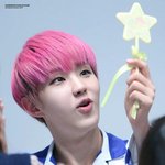 [세븐틴] <b>모찌</b>모찌한 호시