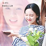 생글 탱글 <b>과즙상</b> 女아이돌들