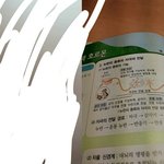 중2과학설명좀 ㅠㅠ