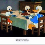 [아꾸] <b>오리</b>가 <b>오리</b>를먹는건가 닭을 먹는건가?..
