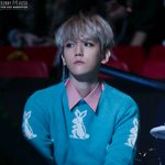[백현] 백현이보면서시작하는<b>화요일</b>