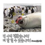송년회 <b>장소</b>에서 이런 사람들 진짜 ㅋㅋ