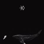 [EXO] <b>홈화면</b> 할사람 가져가라