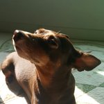 12살 별아6살 <b>하늘</b>