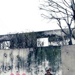 [방탄소년단] 나도 배경화면만들어봤는데..(<b>소심</b>