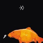 [EXO] 우리반에 쌩머글 하나 있는데