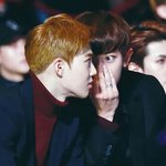 [EXO] 아 <b>손</b> 바들바들 떨려 <b>개</b>기대된다ㅅㅂ...