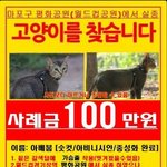 [아배붑] (사진 제보)아배붑을 애타게 찾고 있어요.
