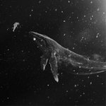 [EXO] 우주인과 고래의 <b>교감</b>
