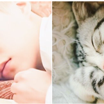 [시우민] 슈냥이 코~<b>자요</b>(시우민)