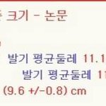 한국남자의 성.기.크.기 팩트