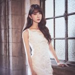 <b>나뮤</b>혬 개미 허리