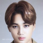 [카이] 로떼<b>타운</b> 스타 에비뉴 종인
