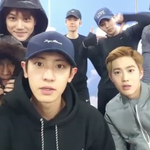 [EXO] 짹짹이보고 9충지지8충 욕하는애들 