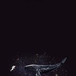 [EXO] <b>멤버</b> <b>한</b>명 언급하면 악개 어그로들이 파리마냥 꼬이니까