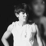 [EXO] <b>정상팬</b>이 똥치우고