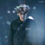 [EXO] 너도 <b>말</b>만하지말고 <b>도배</b>나해 ㅂㅅ아