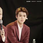 [EXO] 진짜 고양<b>이상들</b>이다 