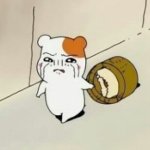 고등학교 들어가는데 공부 어떡하지