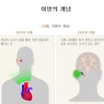 [건강] ** ‘귀’에서 소리가 난다? **