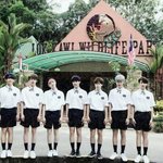 [방탄소년단] 애들아 아직 엑cow분들