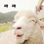 [EXO] 13년도 <b>추억</b> 솔직히 이거아니냐