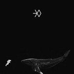 [EXO] 낚인고래들 ㅋㅋㅋ <b>폭주</b>