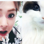 [시우민] <b>미모</b> 품격이 다른 슈냥이(시우민)