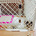 [코코토끼] 코코 와 토끼 _ <b>배변</b>훈련편