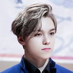 [세븐틴] --어그로ㅂㅁㄱ 정화글--