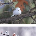 [방탄소년단] 아미들 <b>진정</b>하자!!!!!