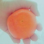[방탄소년단] 나도 귤먹구잇소