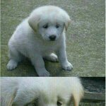 [댓글부탁해] <b>목폴라</b> 니트가 그렇게 이상해..?