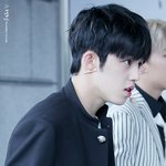 [세븐틴] 쿱스 <b>사진</b>&amp;움짤좀풀어줘라줘