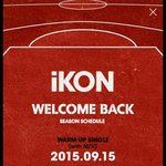 [댓글부탁해] 정말 아이콘을 밀어주는 <b>YG</b>