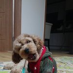<b>치카</b>치카