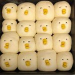 [방탄소년단] 짐니 판박이