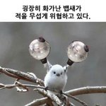 [방탄소년단] <b>황새</b>ㅂㄷㅂㄷ