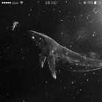 [EXO] 너네<b>시험</b>다끝남..?
