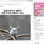[방탄소년단] 뱁새처음들었을때 