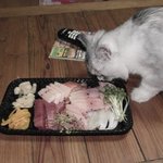 우와~참치다