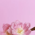 다들 <b>초경</b> 언제했어??