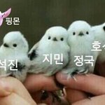 [방탄소년단] 왜그래 <b>뱁새</b>짤은