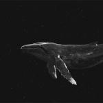 [EXO] 반에서 sing <b>for</b> you뮤비가 나왔는데