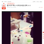 [시우민] 시우민 닮은 냥이글이 톡선 올라왔어>.<