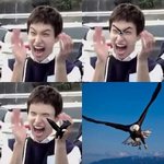 [세븐틴] 세븐틴 팬이라면 알아야하는 것