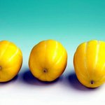 [ㅇㅇ] ** ‘참외 껍질’ <b>알뜰</b>하게 활용하기 **