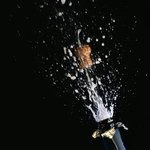 [ㅇㅇ] ** 맛있는 요리를 연출하는 ‘샴페인’의 세계 **